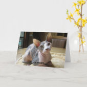 Relatie wenskaarten kaart (Gele Bloem)