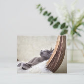 Relax Briefkaart (Staand voorkant)