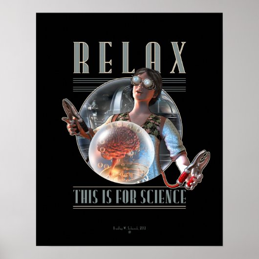 Relax: dit is voor WETENSCHAPPELIJK Poster (16 x 2 (Voorkant)