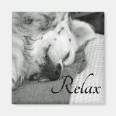 "Relax" Leuke Hond Slapen Vierkante Magneet (Voorkant)