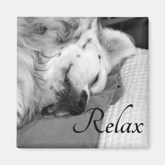 "Relax" Leuke Hond Slapen Vierkante Magneet (Voorkant)