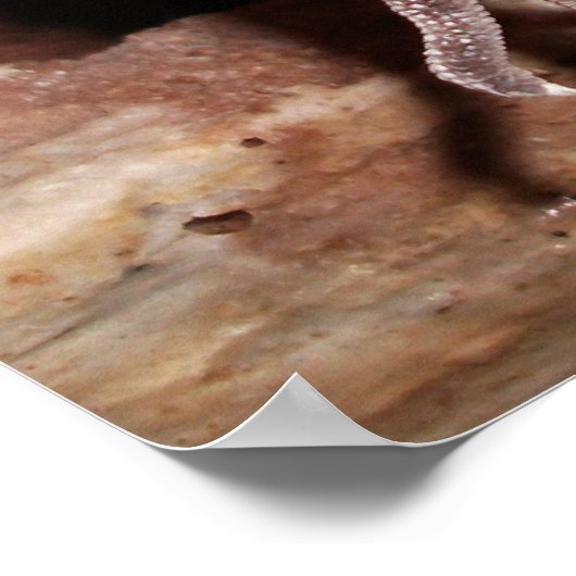 "Relax" Lounging Lizard Leopard Gecko Poster (Hoek)