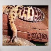 "Relax" Lounging Lizard Leopard Gecko Poster (Voorkant)