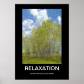 Relaxatie Demotivationeel Poster (Voorkant)