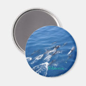 Relaxatie Magneet (Voorkant / Achterkant)