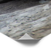 Relaxed Bengalen witte tijger fotografie Poster (Hoek)