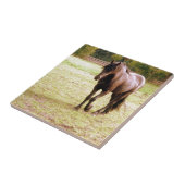 Relaxed Brown Horse Walking Tegeltje (Zijkant)