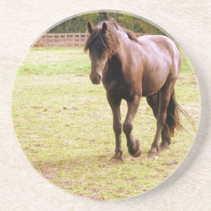 Relaxed Brown Horse Walking Zandsteen Onderzetter