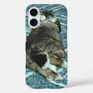 Relaxed Bunny 1 iPhone 16 Hoesje