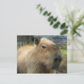 Relaxed Capybara Portret Briefkaart (Staand voorkant)