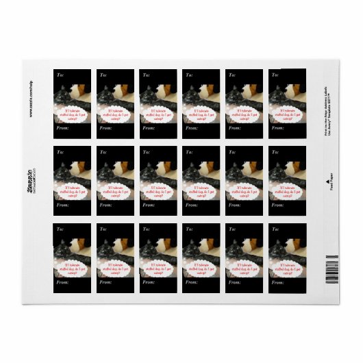 Relaxed Cat Tolerates Dog Labels van RoseWrites (Full Sheet)