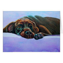 Relaxed Chocolade Lab Dog