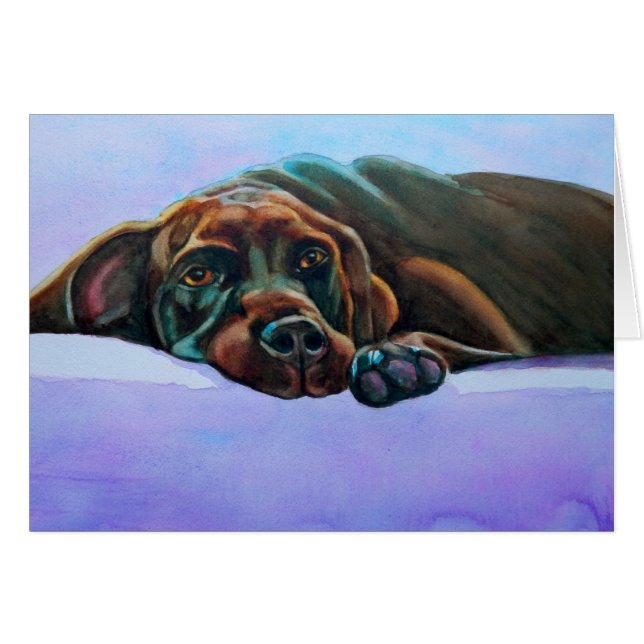 Relaxed Chocolade Lab Dog (Voorkant Horizontaal)