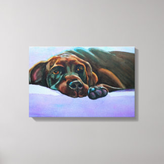 Relaxed Chocolate Lab Canvas Afdruk