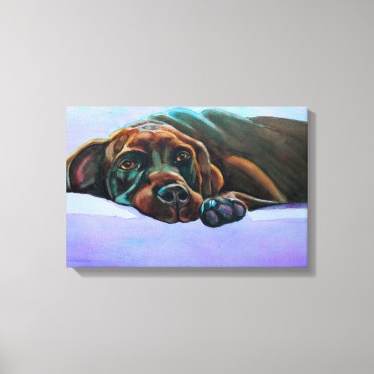 Relaxed Chocolate Lab Canvas Afdruk (Voorkant)