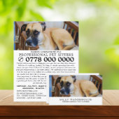 Relaxed Dog, Pet Sitting Service Adverteren Flyer