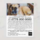 Relaxed Dog, Pet Sitting Service Adverteren Flyer (Voorkant)