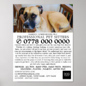 Relaxed Dog, Pet Sitting Service Adverteren Poster (Voorkant)