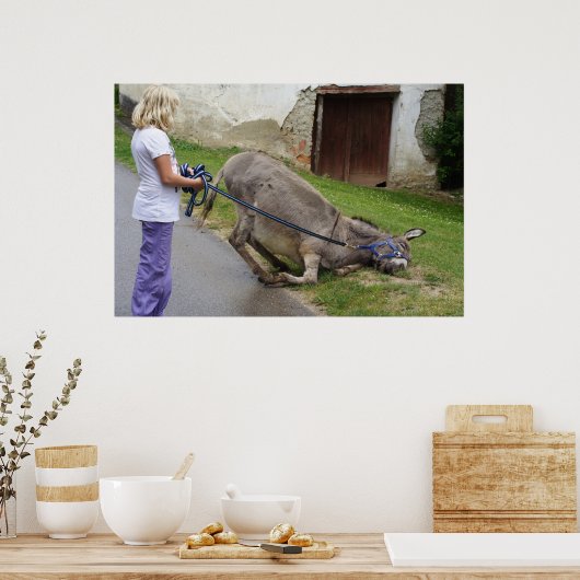 Relaxed Donkey Poster (Keuken)