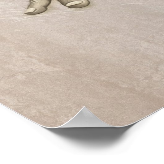 Relaxed elf poster (Hoek)