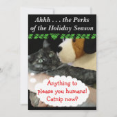 Relaxed Party Invite (Kat) door RoseWrites Kaart (Voorkant)