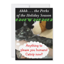 Relaxed Party Invite (Kat) door RoseWrites