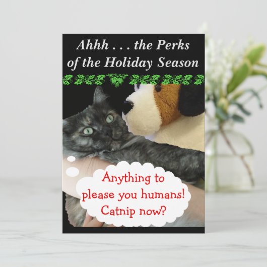 Relaxed Party Invite (Kat) door RoseWrites Kaart (Staand voorkant)