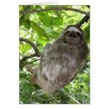 Relaxed Sleuf in Natuur