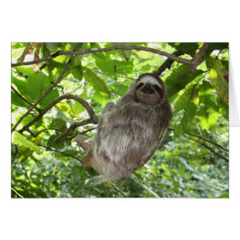 Relaxed Sleuf in Natuur