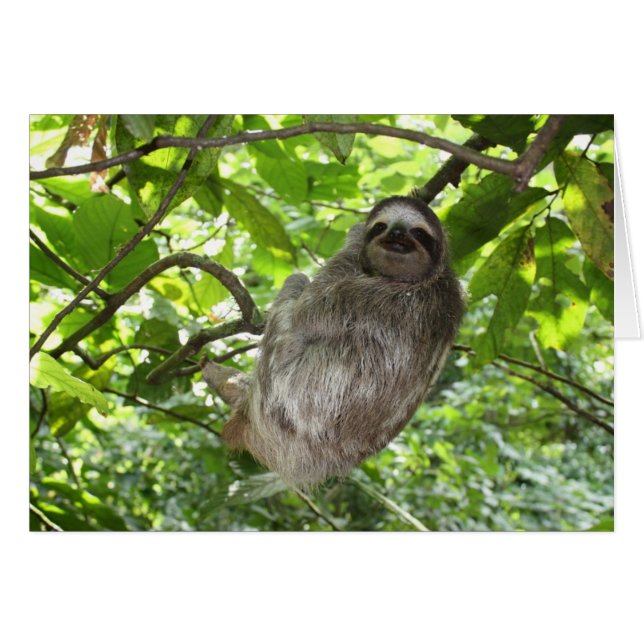 Relaxed Sleuf in Natuur (Voorkant Horizontaal)