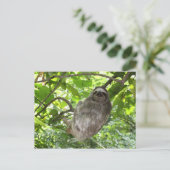 Relaxed Sleuf in Natuur Briefkaart (Staand voorkant)