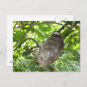 Relaxed Sleuf in Natuur Briefkaart (Voorkant / Achterkant)