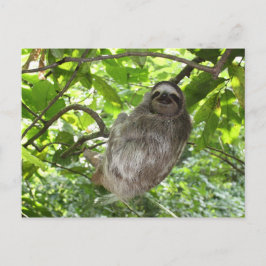 Relaxed Sleuf in Natuur Briefkaart