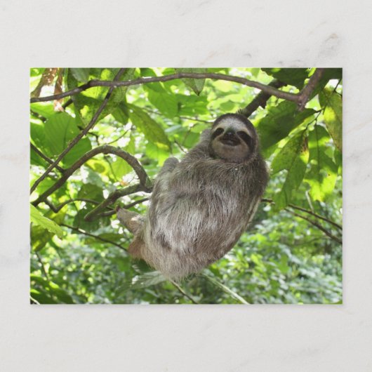 Relaxed Sleuf in Natuur Briefkaart (Voorkant)