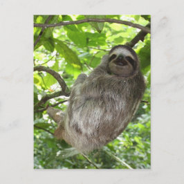 Relaxed Sleuf in Natuur Briefkaart