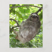 Relaxed Sleuf in Natuur Briefkaart (Voorkant)