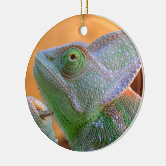 Relaxed Veiled Chameleon Keramisch Ornament (Links)