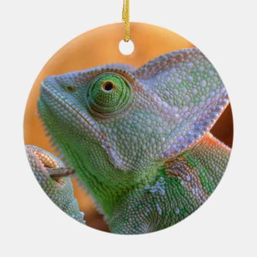 Relaxed Veiled Chameleon Keramisch Ornament (Achterkant)