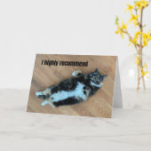 Relaxeerde kat met medische klasse Catnip wordt go Kaart (Gele Bloem)