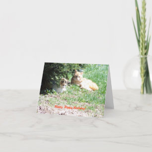 Relaxen Verjaardag, Katten & Taart Kaart