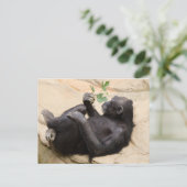 Relaxerende chimpansee briefkaart (Staand voorkant)