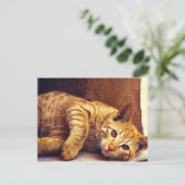 Relaxerende Oranje tablet Briefkaart (Staand voorkant)