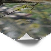 Relaxing 20 x 20 inch, Poster papier, halfglanzend (Hoek)