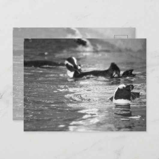 Relaxing Briefkaart (Voorkant / Achterkant)