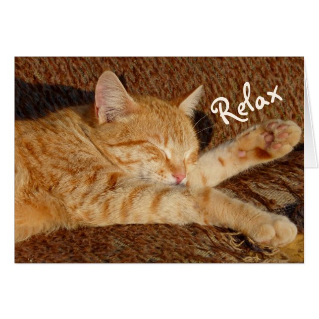Relaxing Cat (Voorkant Horizontaal)