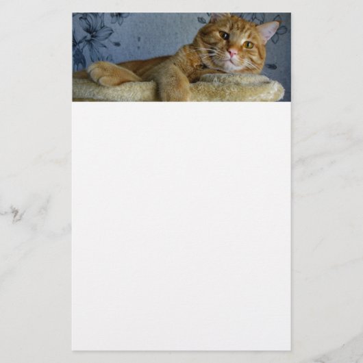 Relaxing Cat Briefpapier (Voorkant)