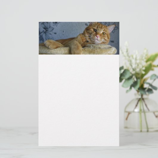 Relaxing Cat Briefpapier (Staand voorkant)