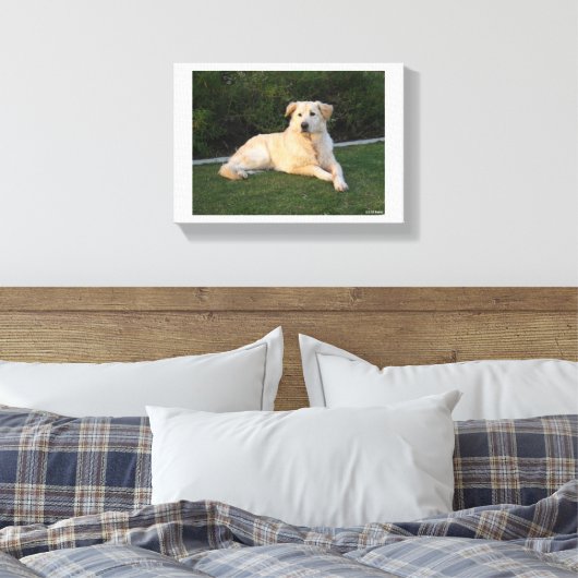 Relaxing Dog Canvas Afdruk (Insitu (Slaapkamer))