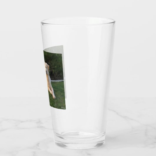 Relaxing Dog Glas (Links)