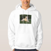 Relaxing Dog Hoodie (Voorkant)